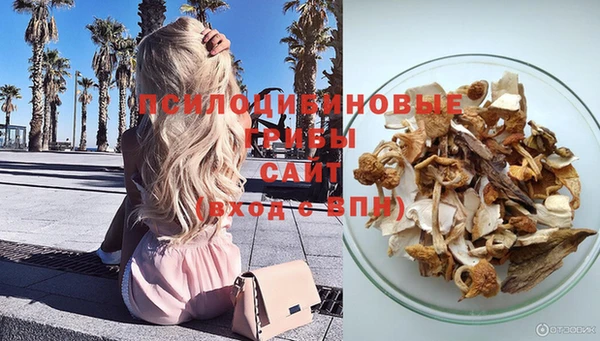 PSILOCYBIN Алексин