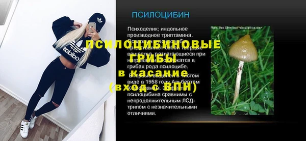 PSILOCYBIN Алексин