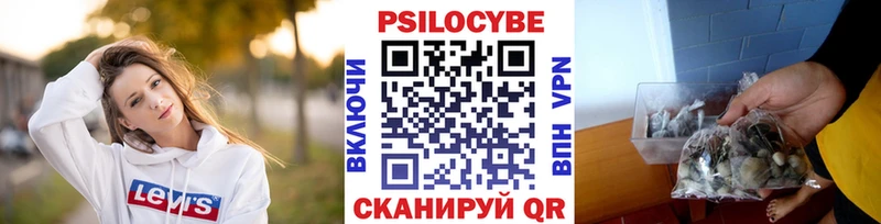 Псилоцибиновые грибы MAGIC MUSHROOMS  Дно 